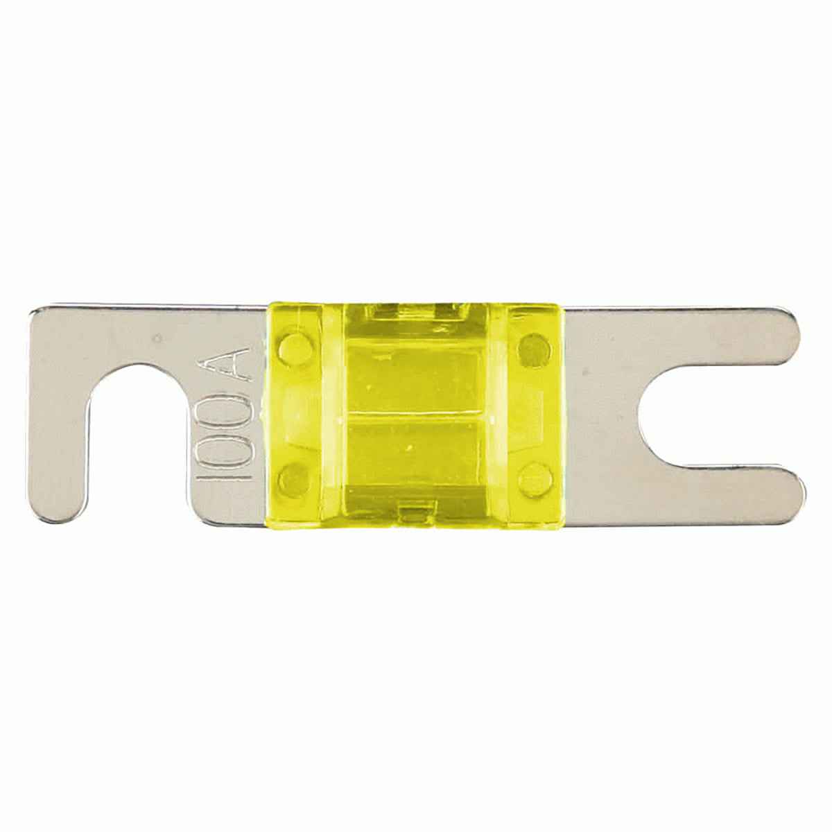 Mini ANL 100 Amp Fuse 2 Pack