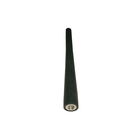 BATG0469001.jpg