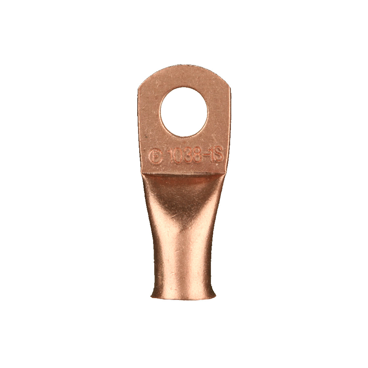 CUR8516.jpg
