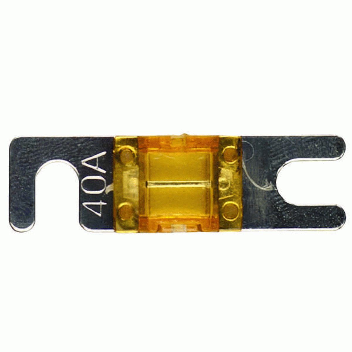 MANL40M.jpg
