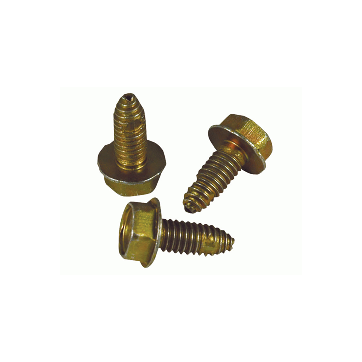 PZGBOLT.jpg