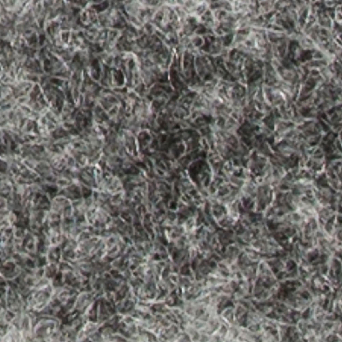 TL3645.jpg